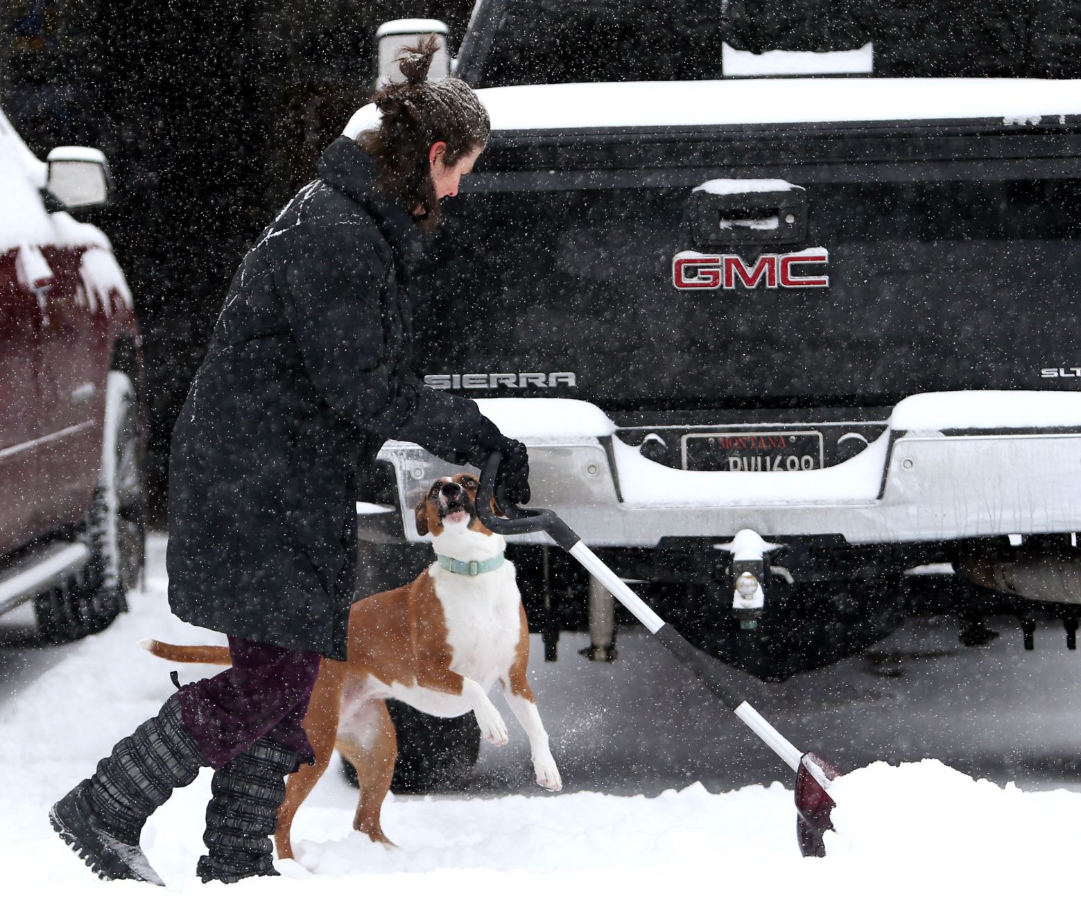 Brownie barks at her owner